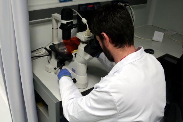 A researcher looking into a microscope